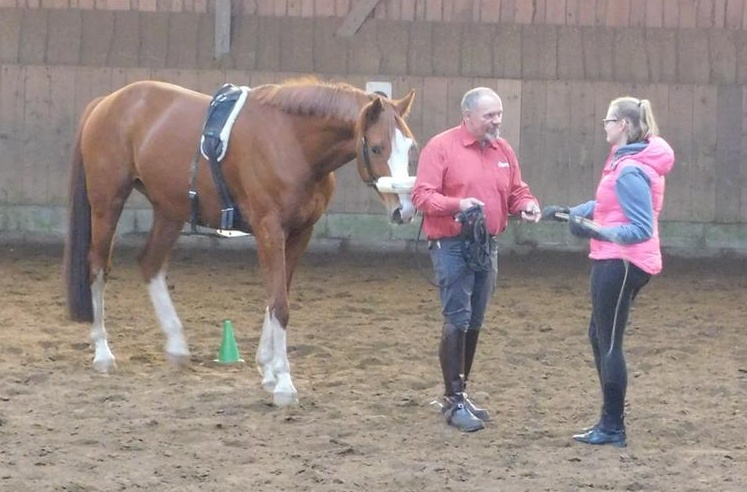 Mensch mit Pferd auf Pferdekoppel