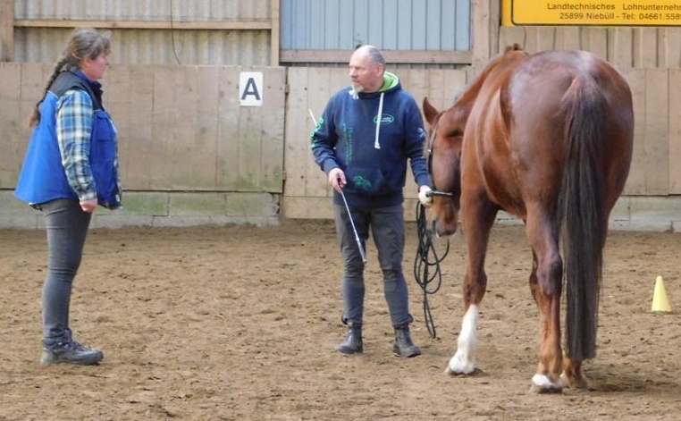 Mensch mit Pferd auf Pferdekoppel