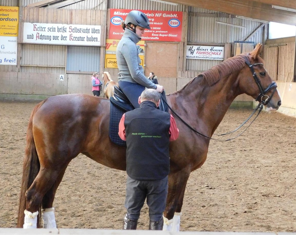 Mensch mit Pferd auf Pferdekoppel