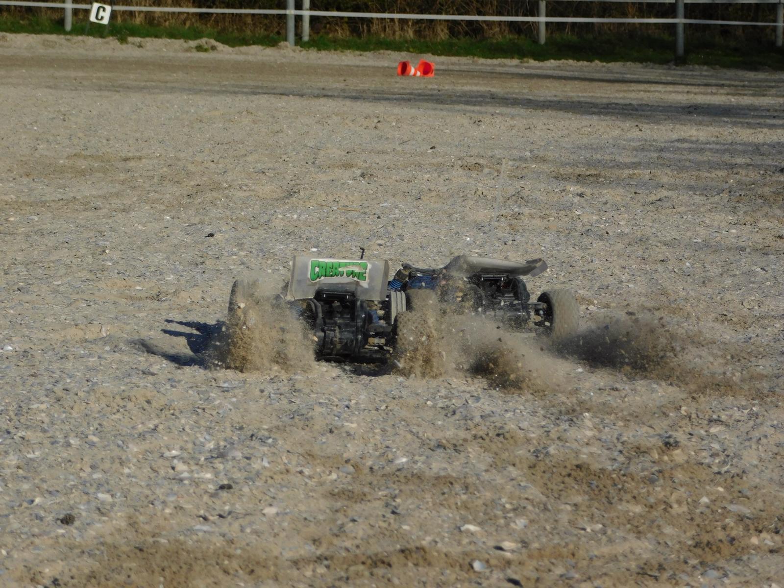 Mensch mit Pferd auf Pferdekoppel