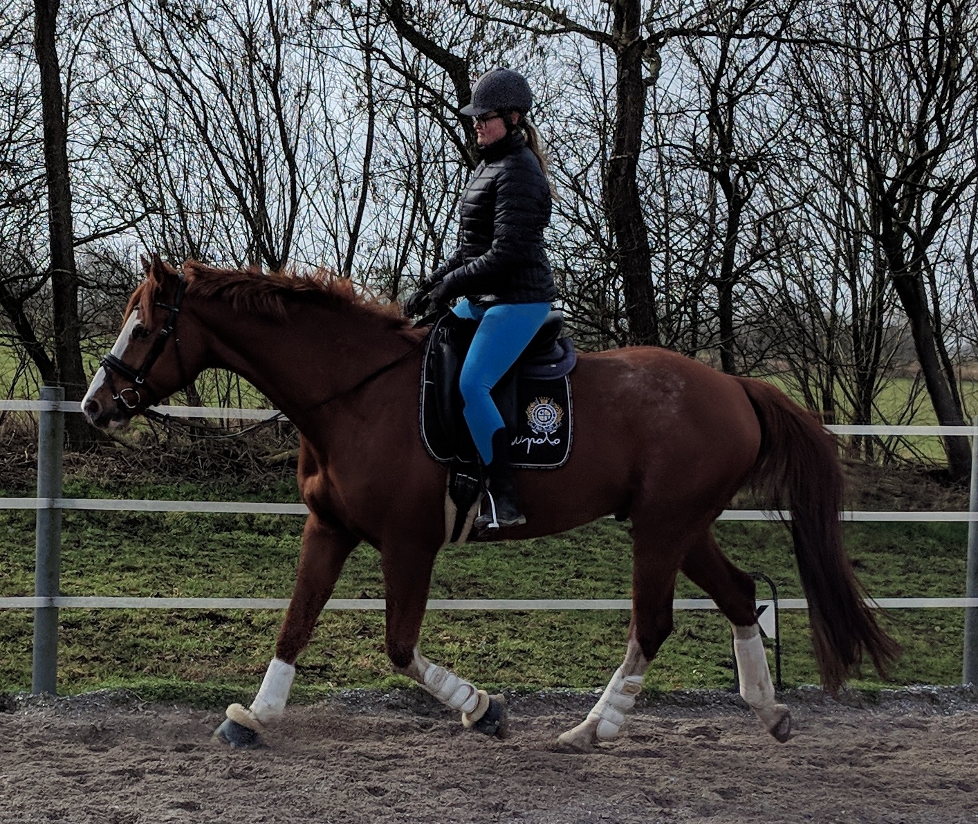 Mensch mit Pferd auf Pferdekoppel
