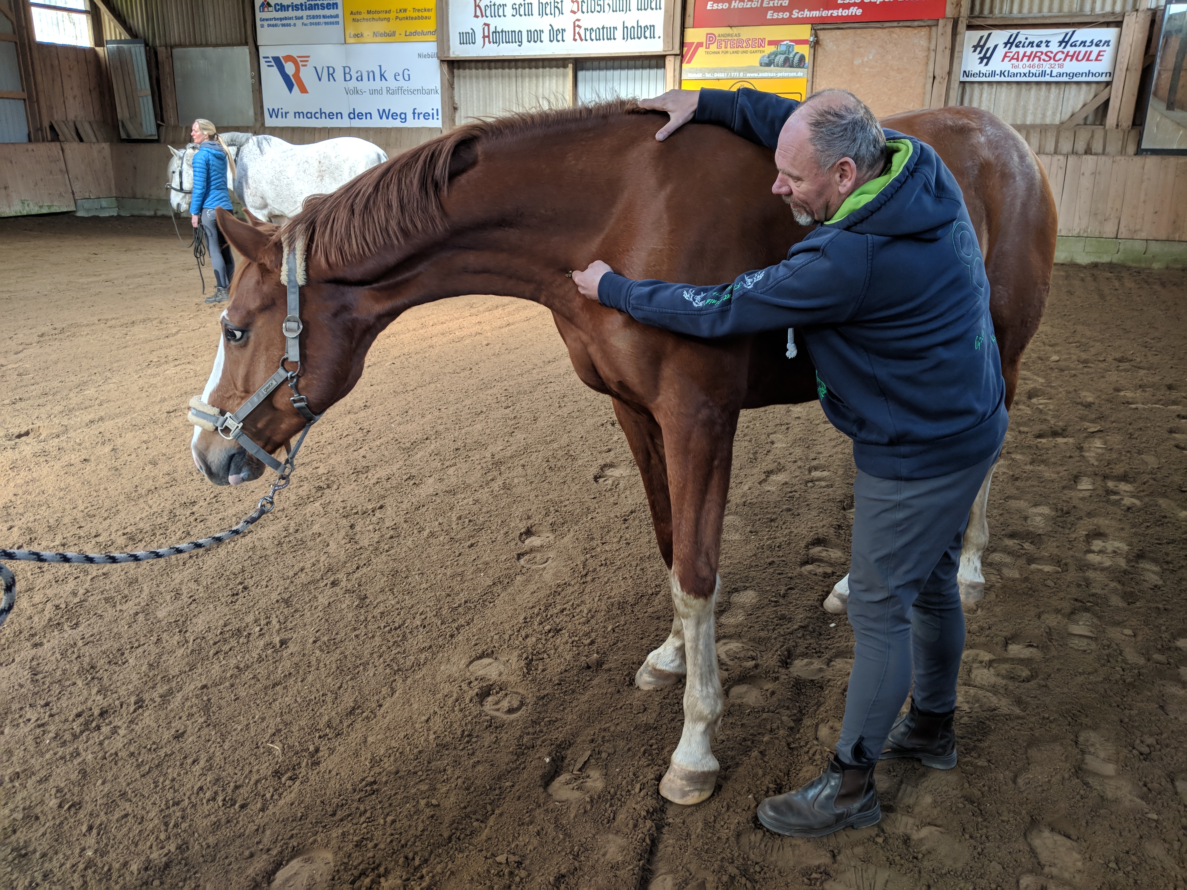 Mensch mit Pferd auf Pferdekoppel