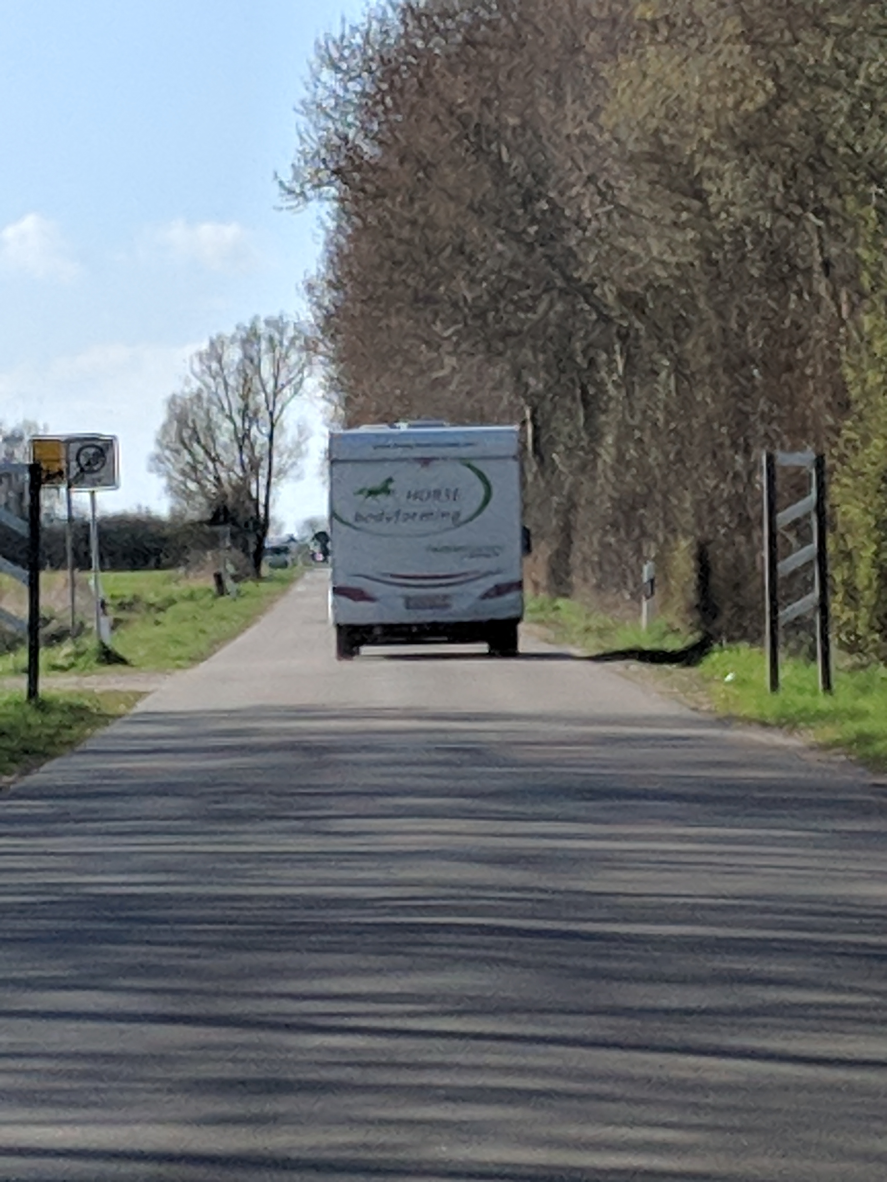 Mensch mit Pferd auf Pferdekoppel